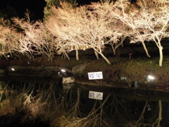 なばなの里