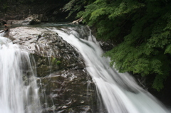 2007年 夏