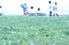 恋する公園