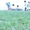 恋する公園
