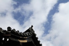  京都 二条城