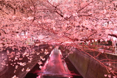 目黒川