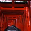 京都 伏見稲荷大社