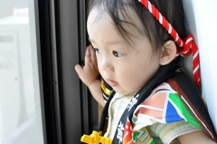 我が家のアイドル