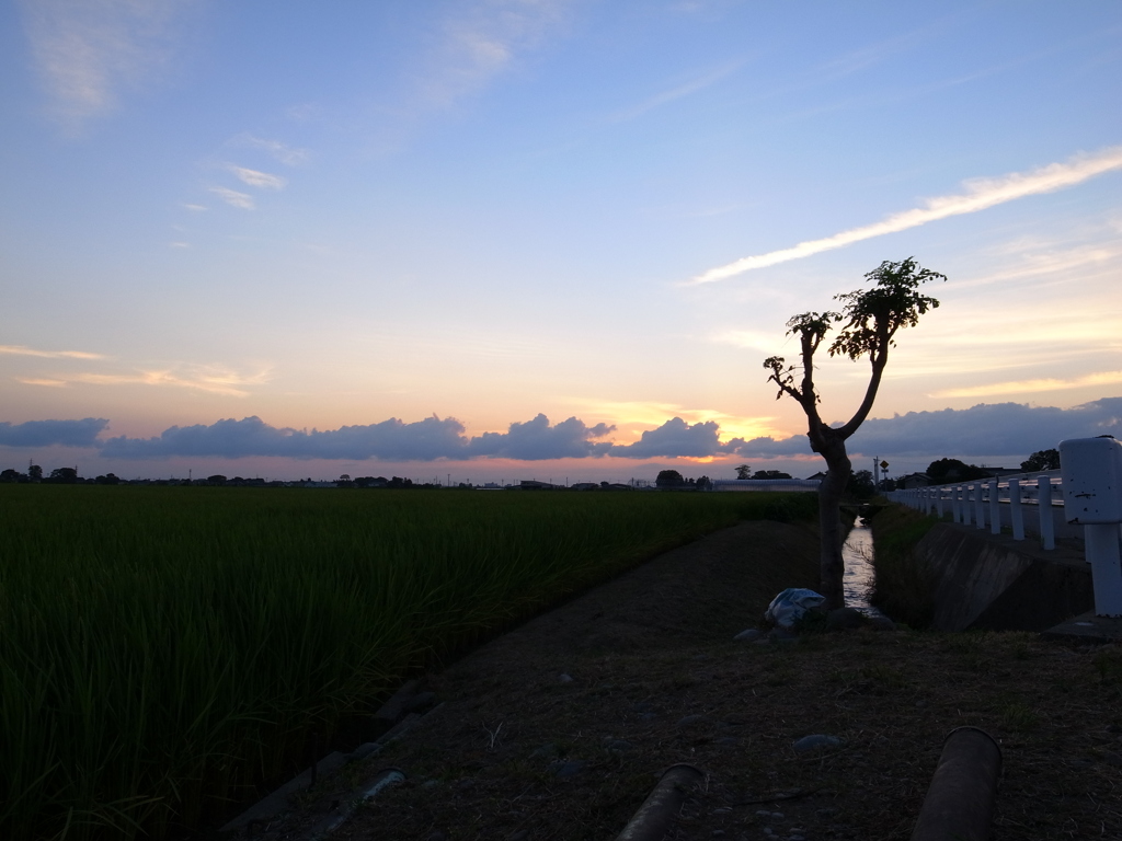 田園風景