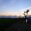 田園風景