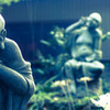 DSC03263-1