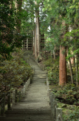 室生寺　奥の院参道