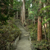 室生寺　奥の院参道
