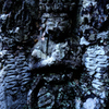 senju 2