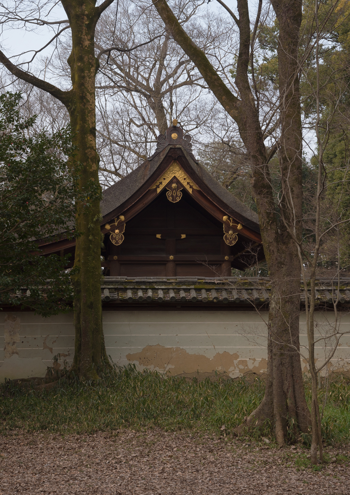 河合神社本殿