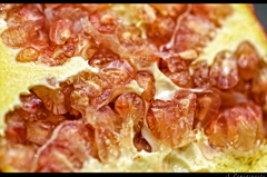 A Pomegranate