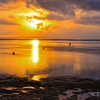 A Fisherman in Golden Sea