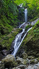 Amagoi fall