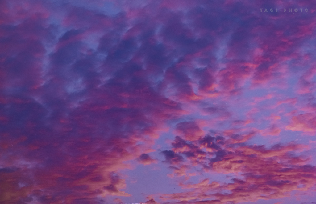 Colored Evening Cloud