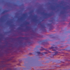 Colored Evening Cloud