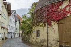 Color of rainy autumn town