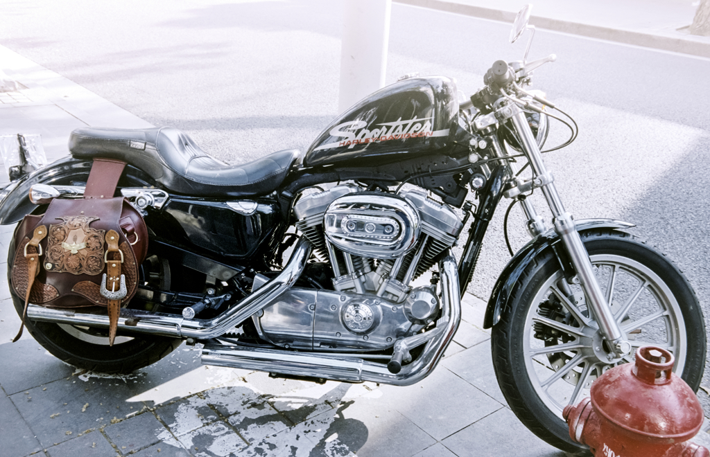 Iron horse under the morning sun