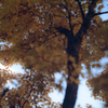 Golden moment with film