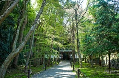 地蔵院