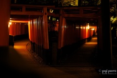 夜の朱