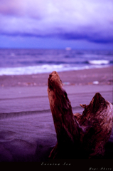 Evening Sea