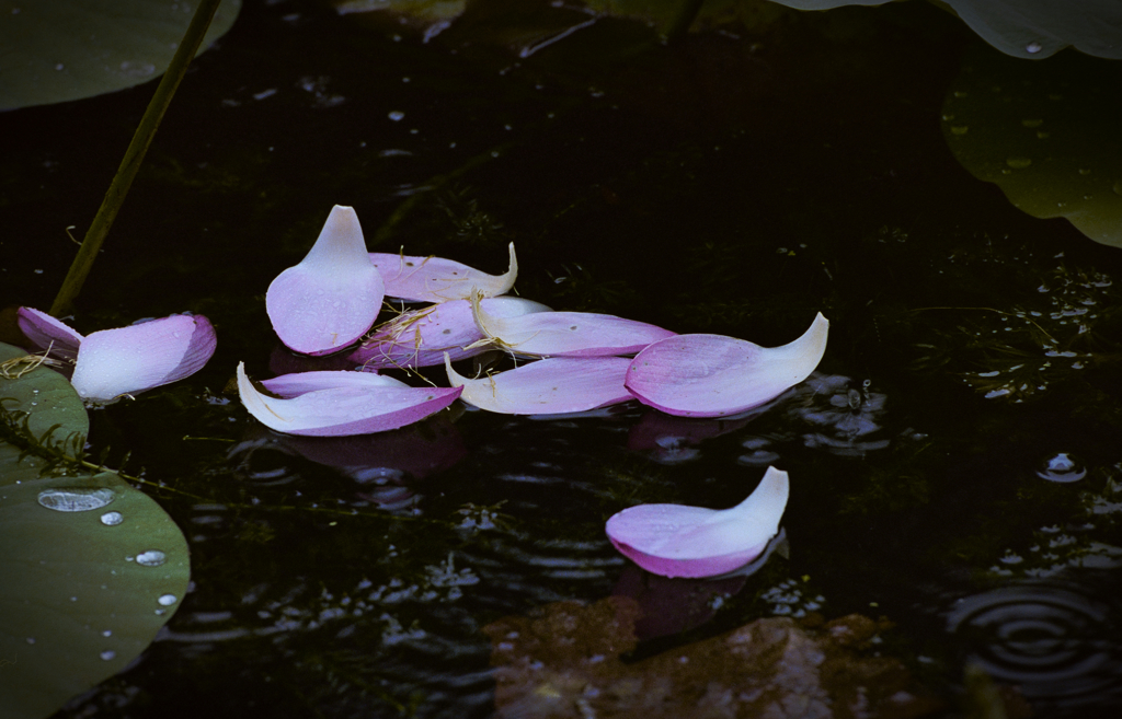 Floating
