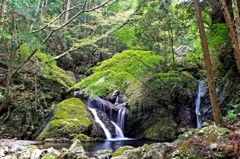 Momiji fall