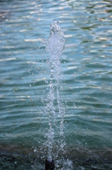 水