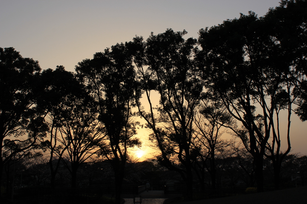 夕焼け