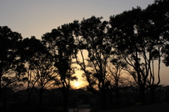 夕焼け