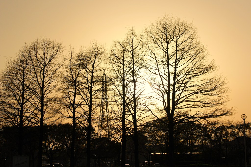 夕暮れ