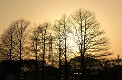 夕暮れ