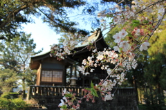 臼杵城跡