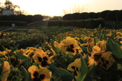 平和市民公園