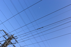 電線