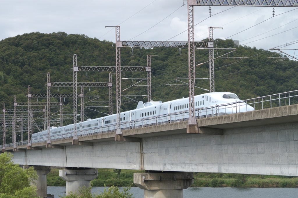 "SAKURA" Super Express