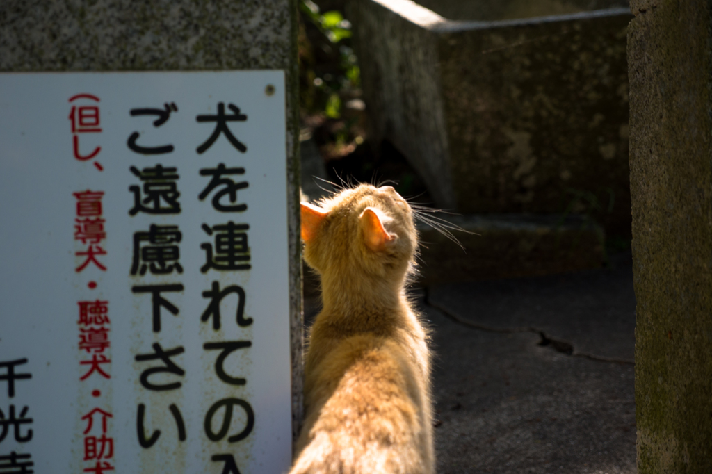 この先に何が･･･