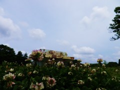 空と水道と緑と