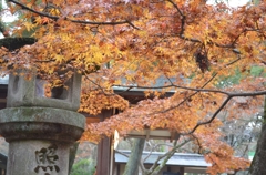 奈良の茶屋