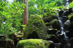 大雄山　最乗寺