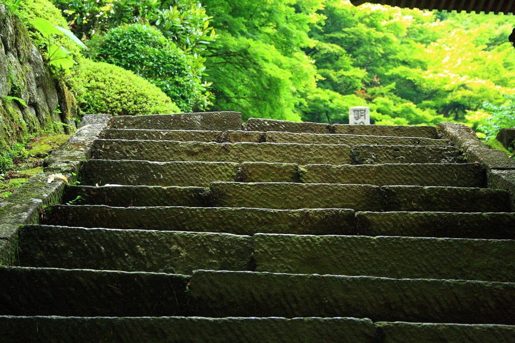 大雄山　最乗寺