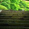 大雄山　最乗寺