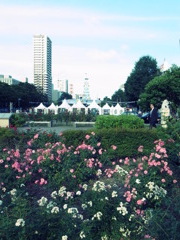 ちょっとめるへん