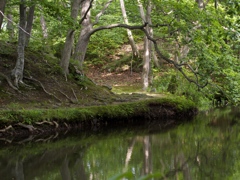 P7070387