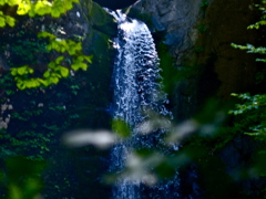 滝