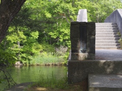 P7070347