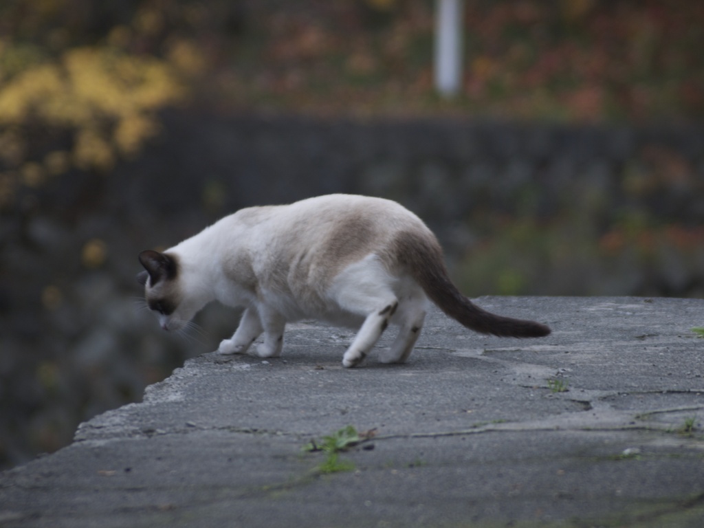 確かめるように