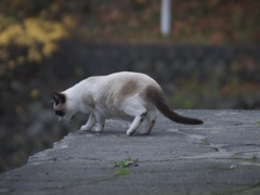 確かめるように