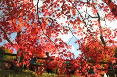 紅を透かせて見る空
